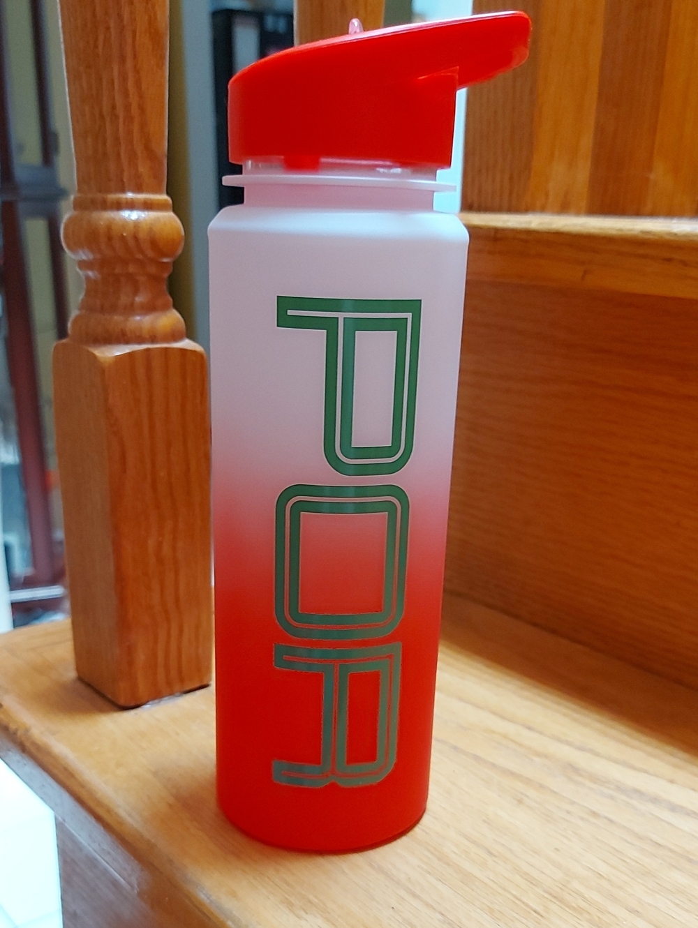 NWOT Fifa Portugal Red Gradient Sport Water Bottle with Flip Spout